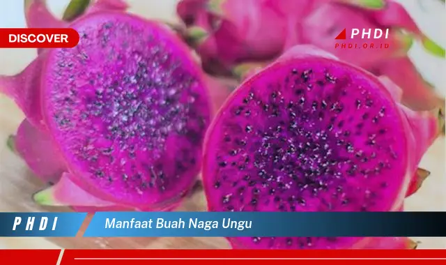 manfaat buah naga ungu