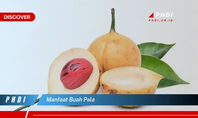 manfaat buah pala