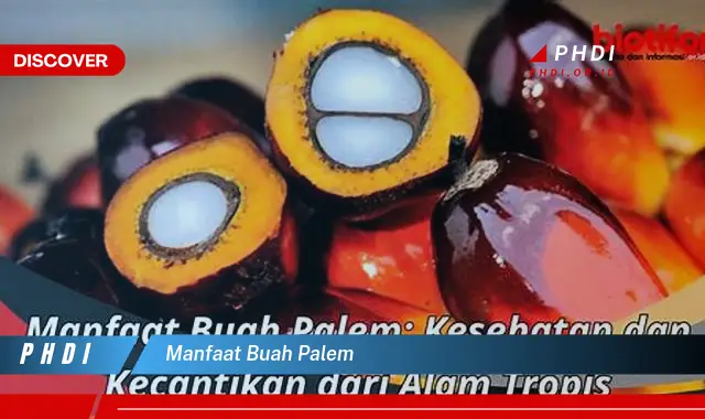 manfaat buah palem