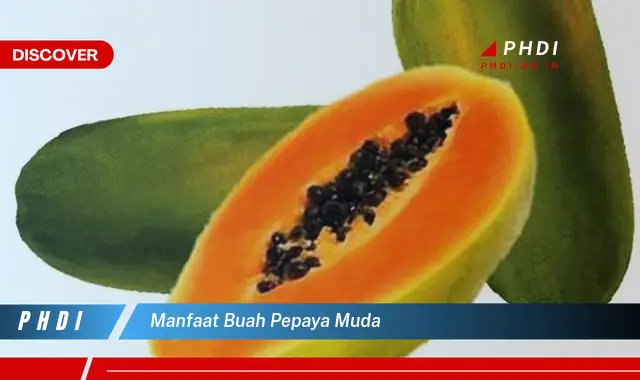 manfaat buah pepaya muda