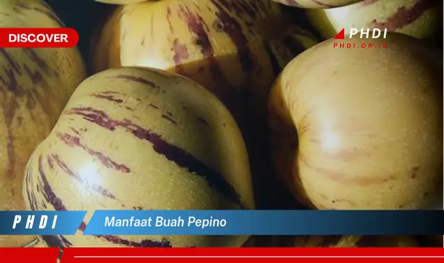 manfaat buah pepino