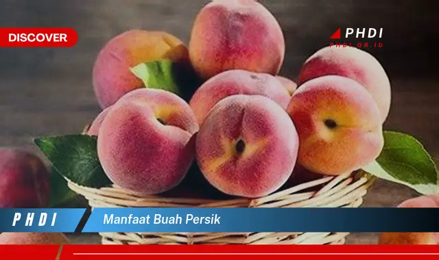 manfaat buah persik