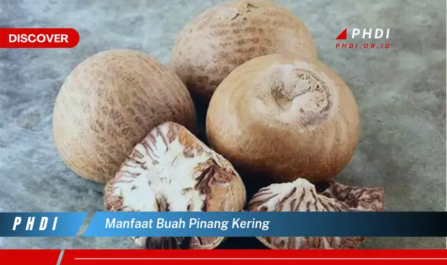 manfaat buah pinang kering