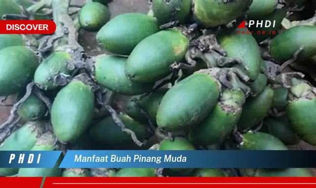 manfaat buah pinang muda