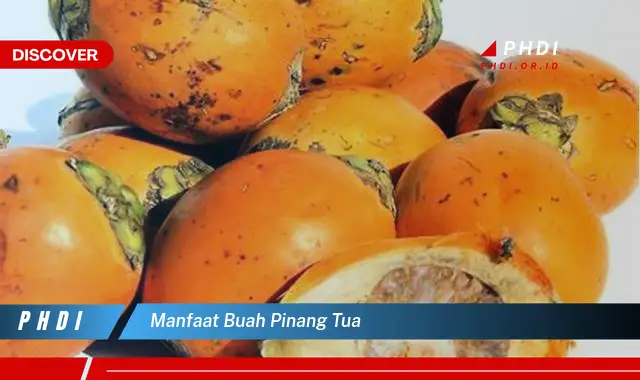 manfaat buah pinang tua