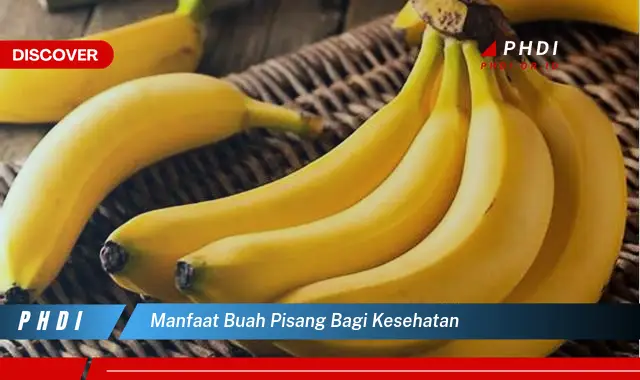 manfaat buah pisang bagi kesehatan