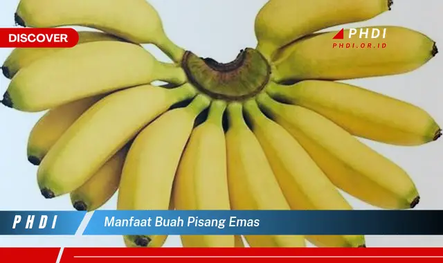 manfaat buah pisang emas