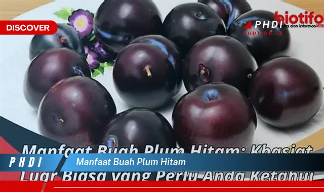 manfaat buah plum hitam