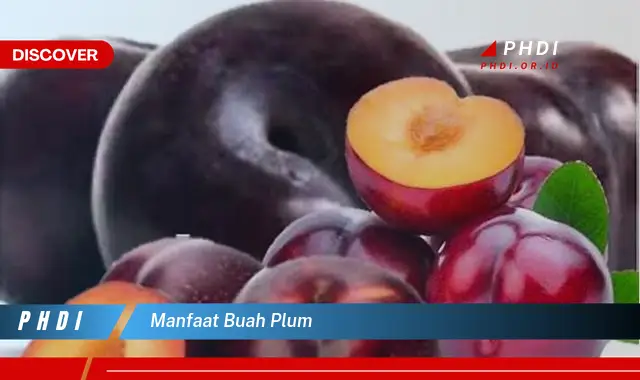 manfaat buah plum