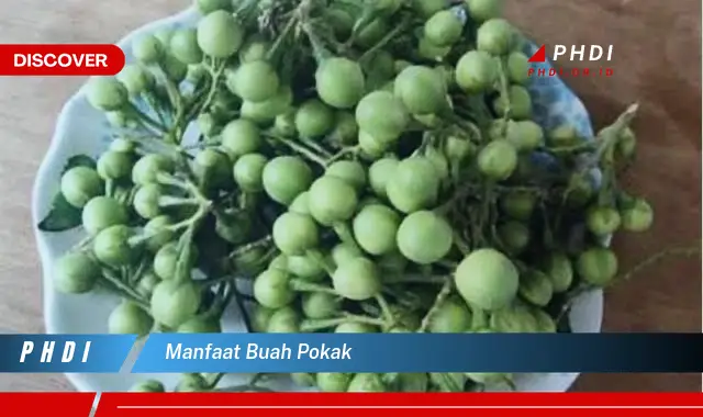 manfaat buah pokak