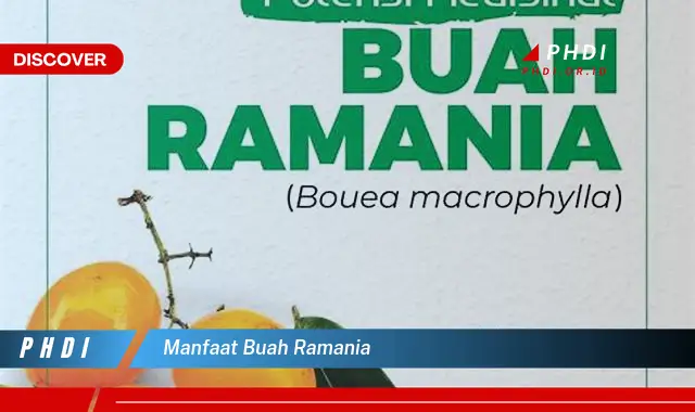 manfaat buah ramania