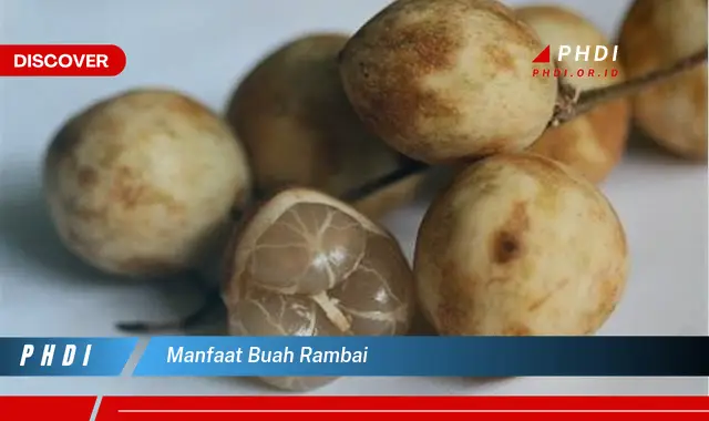 manfaat buah rambai