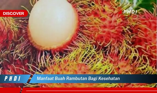 manfaat buah rambutan bagi kesehatan