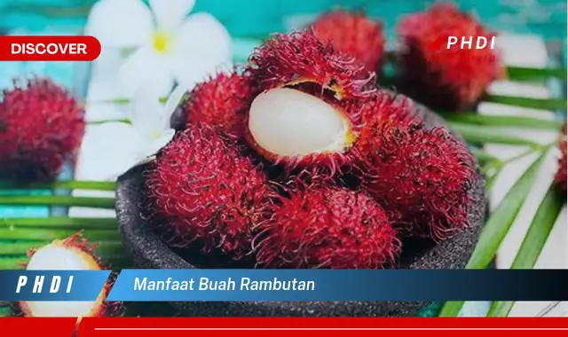 manfaat buah rambutan