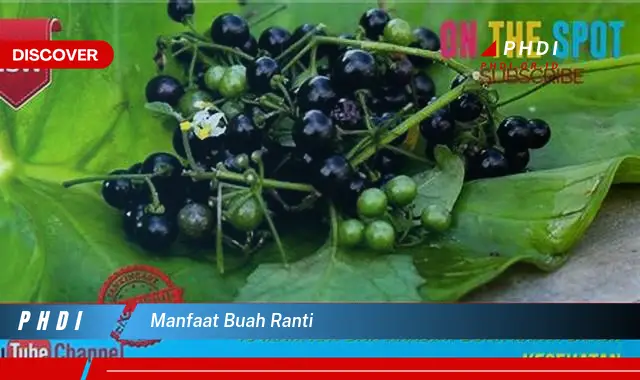 manfaat buah ranti