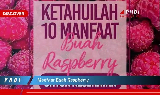 manfaat buah raspberry