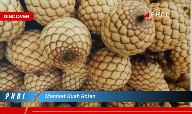 manfaat buah rotan