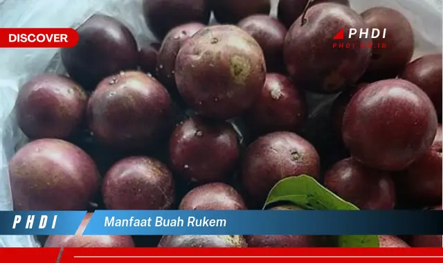 manfaat buah rukem