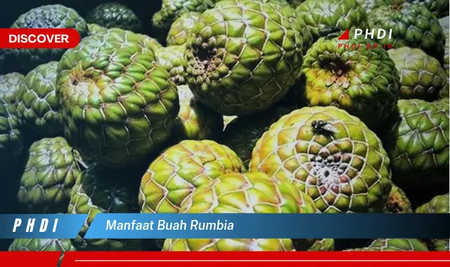 manfaat buah rumbia