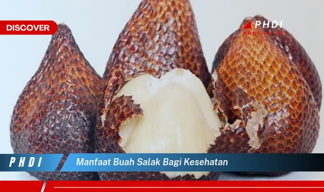 manfaat buah salak bagi kesehatan