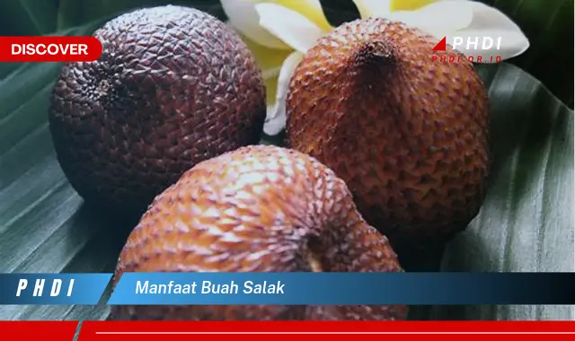 manfaat buah salak