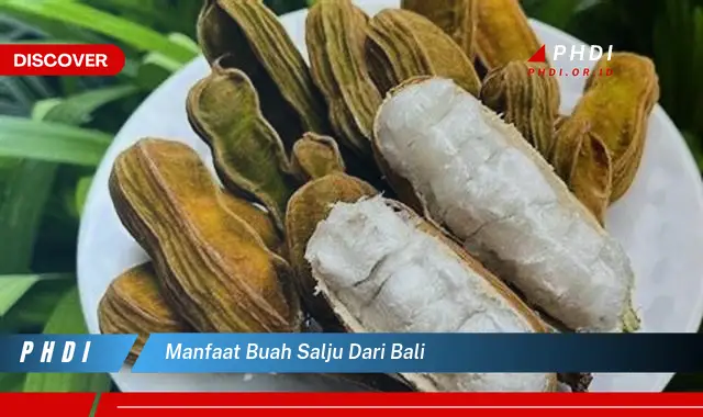 manfaat buah salju dari bali