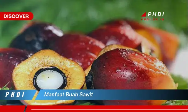 manfaat buah sawit