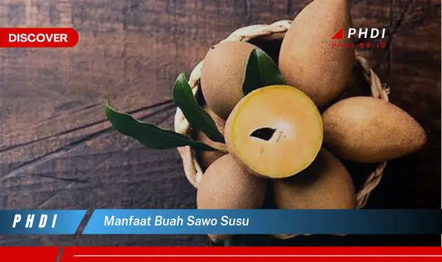 manfaat buah sawo susu