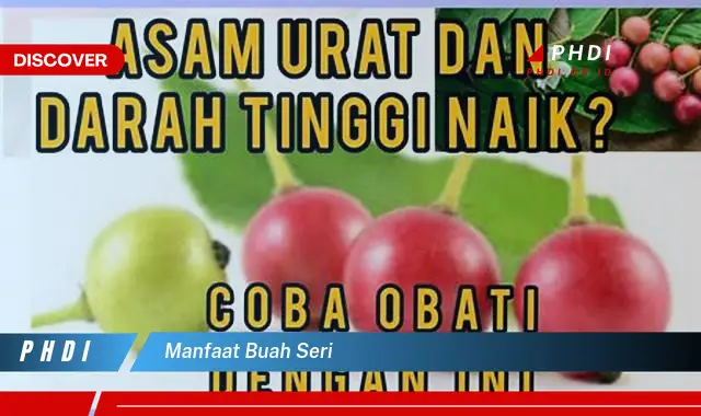 manfaat buah seri