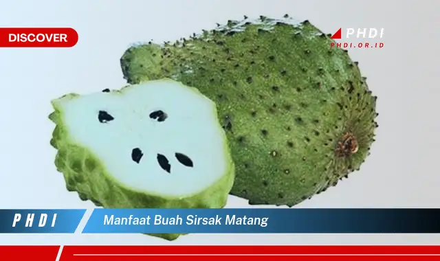 manfaat buah sirsak matang