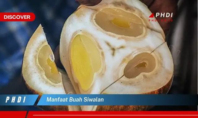 manfaat buah siwalan