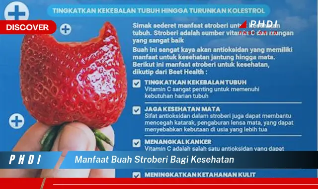 manfaat buah stroberi bagi kesehatan