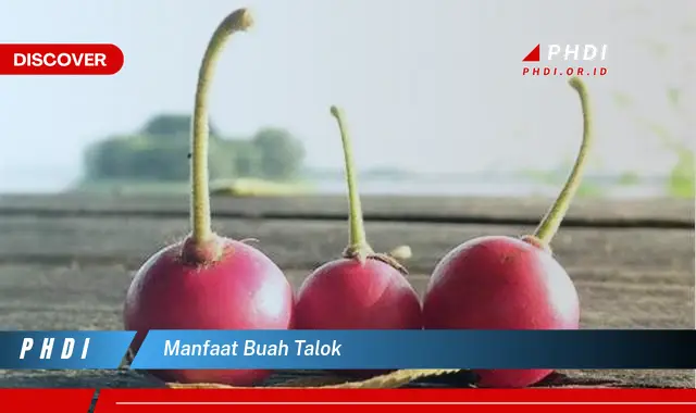 manfaat buah talok