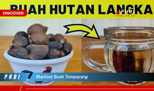 manfaat buah tempayang