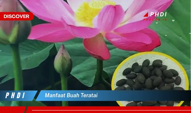 manfaat buah teratai