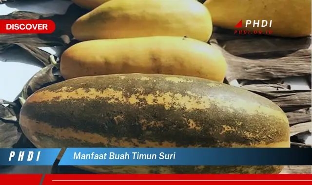 manfaat buah timun suri