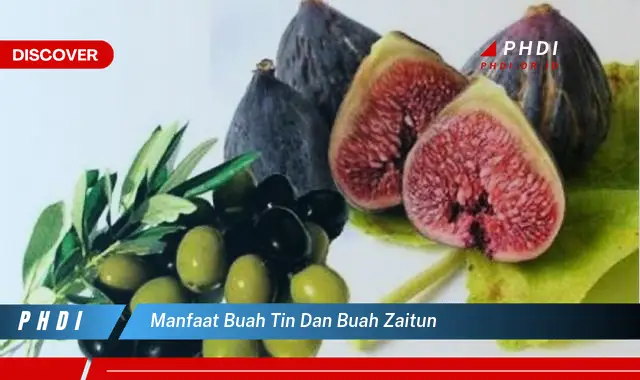 manfaat buah tin dan buah zaitun