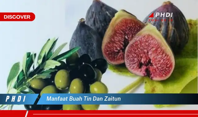 manfaat buah tin dan zaitun