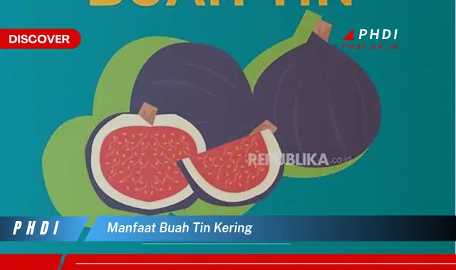 manfaat buah tin kering