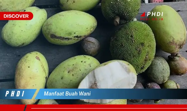 manfaat buah wani