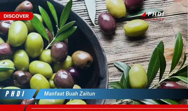 manfaat buah zaitun