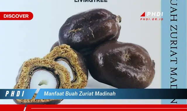 manfaat buah zuriat madinah