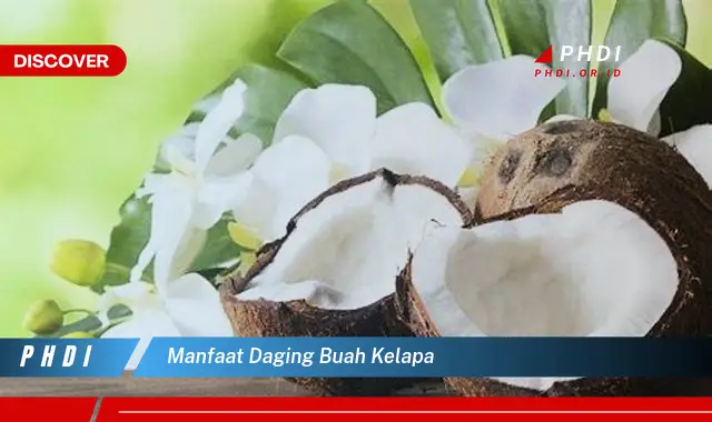 manfaat daging buah kelapa