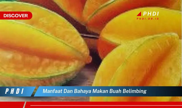 manfaat dan bahaya makan buah belimbing