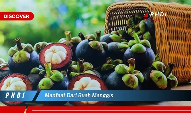 manfaat dari buah manggis