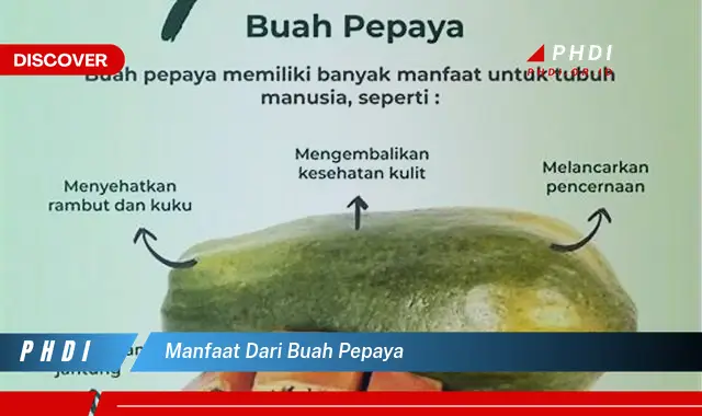 manfaat dari buah pepaya