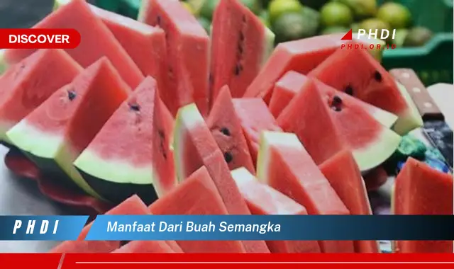 manfaat dari buah semangka