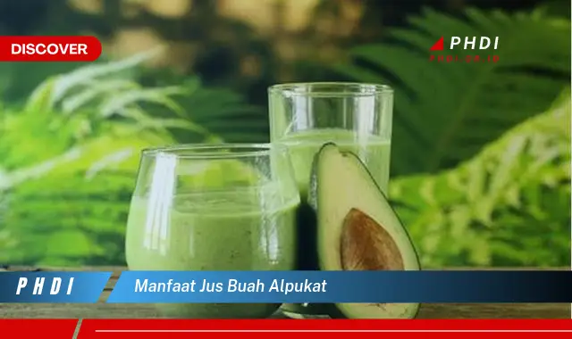 manfaat jus buah alpukat