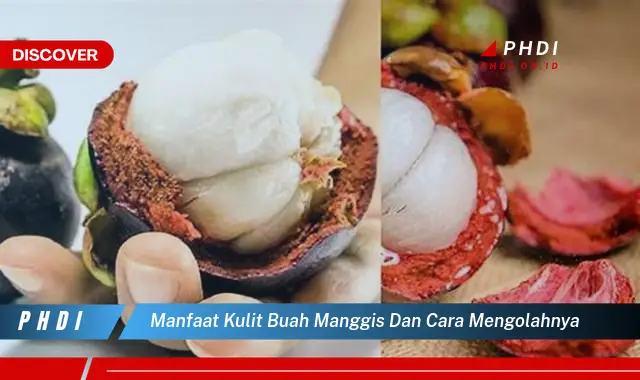 manfaat kulit buah manggis dan cara mengolahnya