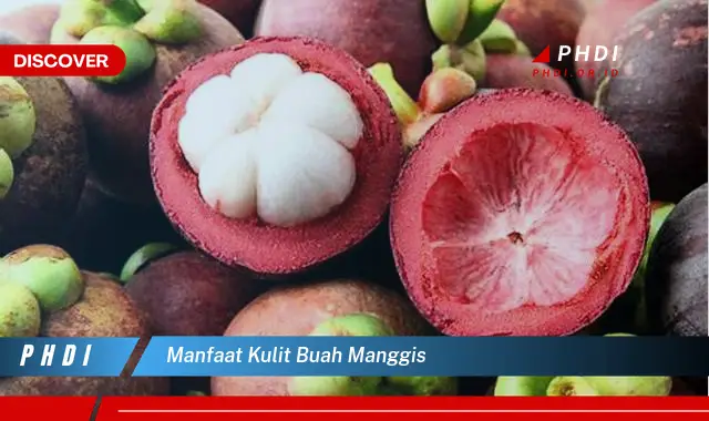 manfaat kulit buah manggis